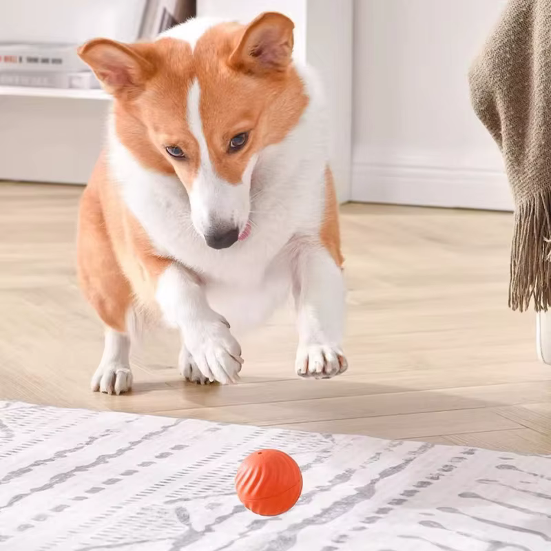 Balle de jouet pour animaux de compagnie, jouet en mouvement automatique pour chien, intelligent, USB, rotatif, interactif, à mâcher, pour chiot