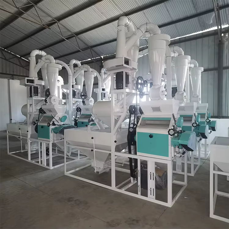 Machine à moudre le blé de type nouveau 2025 personnalisée, machine à moudre la farine de bonne qualité