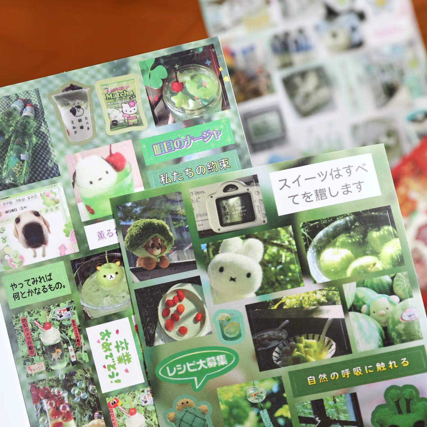 Livre d'autocollants sur le thème des courses quotidiennes japonaises, 30 feuilles, autocollants divers, papeterie pour bricolage, journal, album, décoration artisanale
