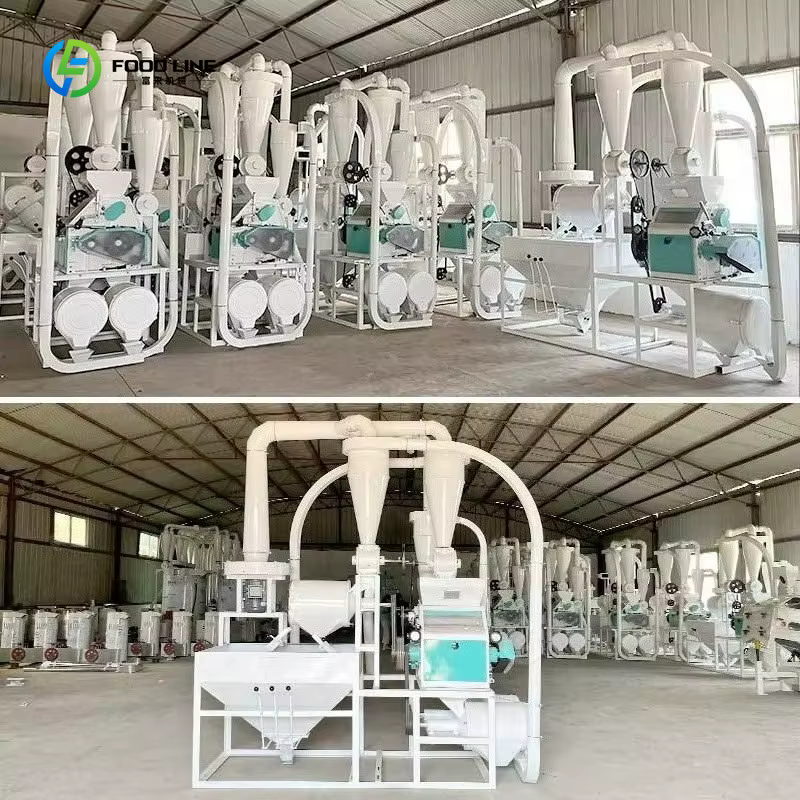 Moulin à farine 300-500 kg/h à alimentation automatique, broyeur de céréales à haut rendement pour le traitement du blé, du teff, du riz et de l'orge, personnalisable