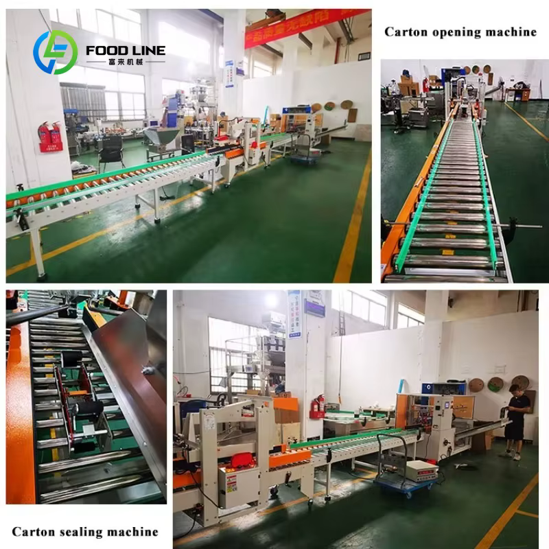 Machine d'ouverture de cartons sur mesure, érecteur de boîtes, machine de formage et de pliage de carton