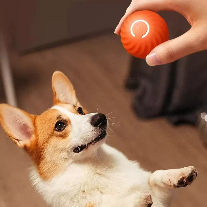 Balle de jeu pour chien, balle automatique qui bouge, rebondit et roule, balle intelligente USB pour chiot, jouet interactif pour chien, balle à mâcher