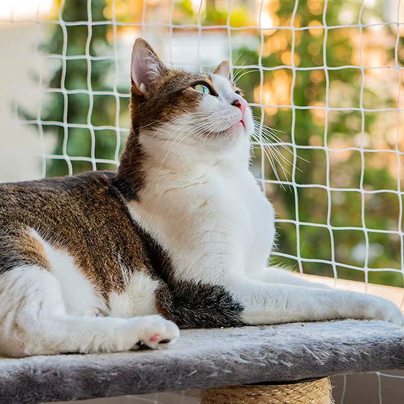 Maille Anti-chute pour animaux de compagnie, clôture de sécurité pour chat, filet de protection pour écran de balcon en Nylon